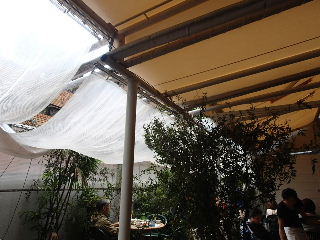 d0063149_203359.jpg