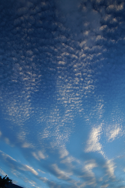 f0214649_4541999.jpg