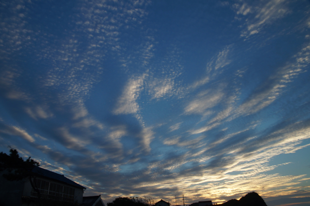 f0214649_454397.jpg
