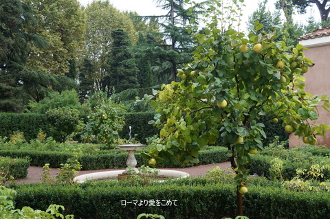 c0206352_1202341.jpg