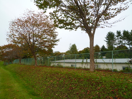 c0266868_1765315.jpg