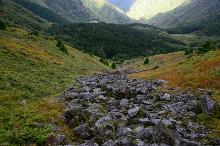 c0303868_710018.jpg