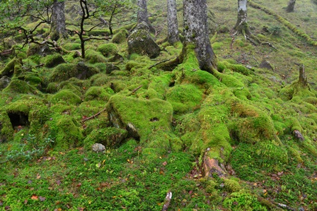 c0303868_7143852.jpg