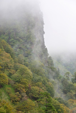 c0303868_7163479.jpg
