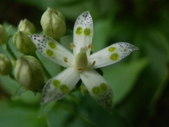 c0042869_19542658.jpg