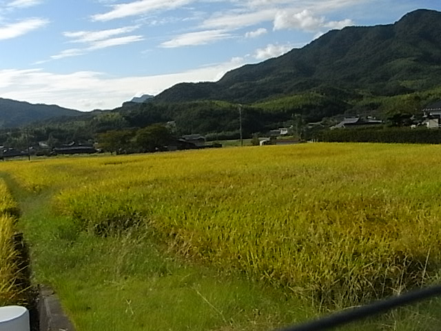 a0146070_5462077.jpg