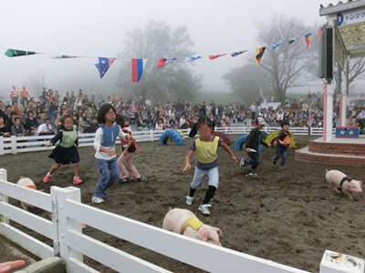 c0222474_1641477.jpg
