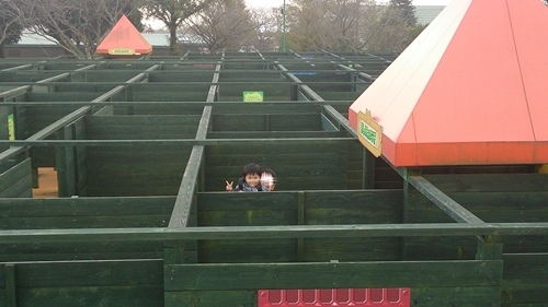 c0222474_1659278.jpg