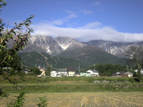 e0014678_1755868.jpg