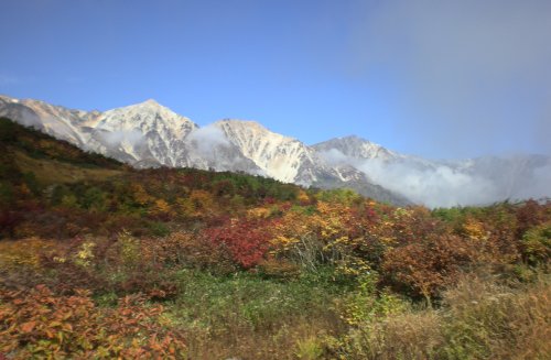 e0014678_1757727.jpg