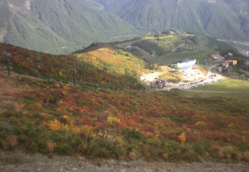 e0014678_183098.jpg
