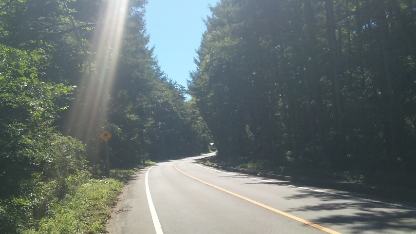 f0131183_921239.jpg