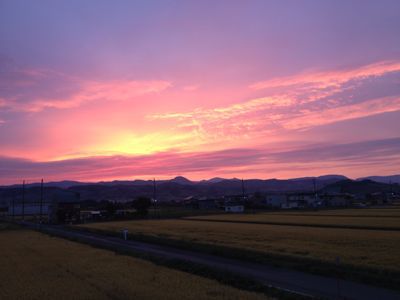 c0234987_1461063.jpg