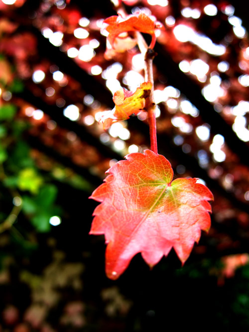 b0228988_021335.jpg