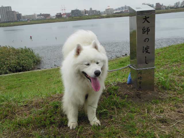 b0120492_15291232.jpg