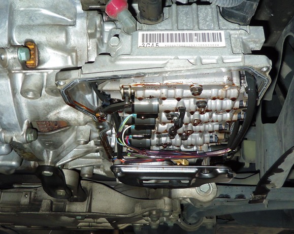 c0004193_1145154.jpg