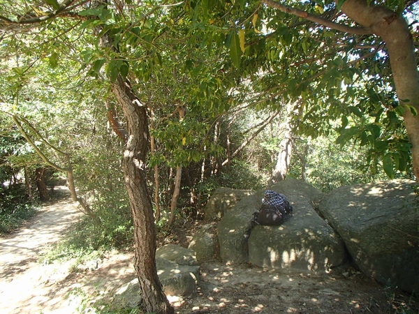 b0039898_14435785.jpg