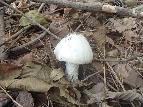 b0039898_1445324.jpg
