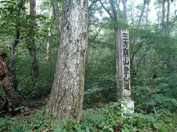 b0039898_15534087.jpg
