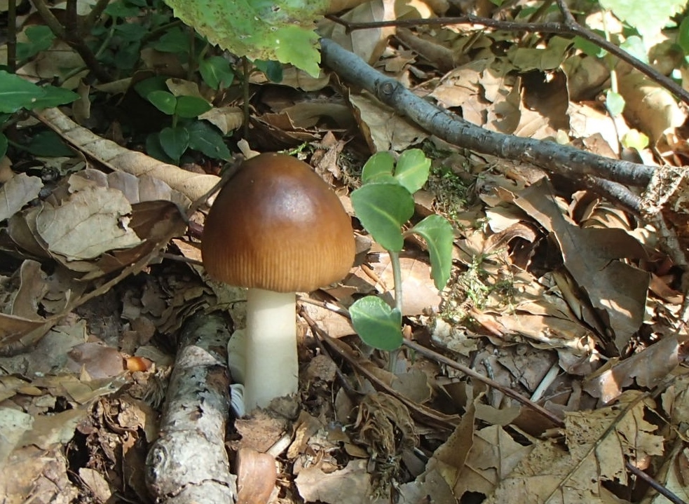 b0039898_15544110.jpg