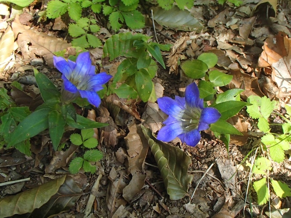 b0039898_155498.jpg