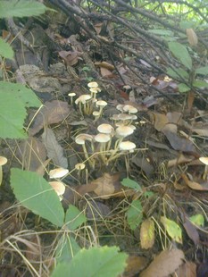e0206902_00646.jpg