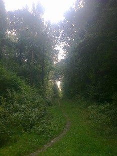e0206902_23553391.jpg
