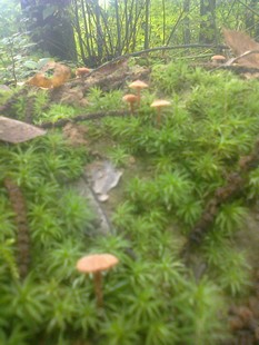 e0206902_23591533.jpg