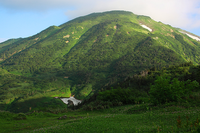 a0148606_135441.jpg