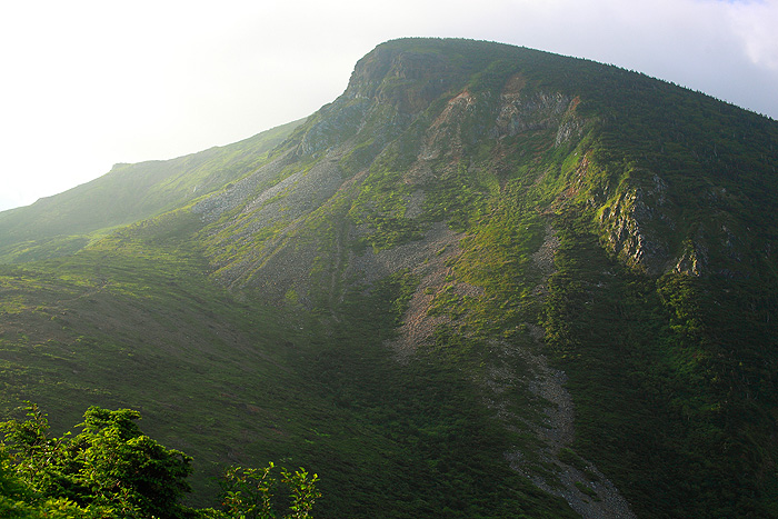 a0148606_13553516.jpg