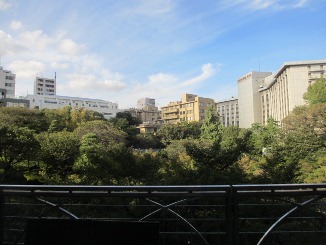 d0091909_15382558.jpg