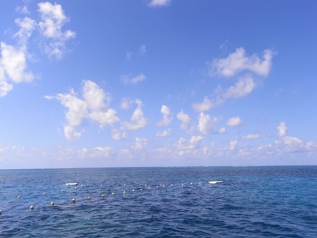 b0309813_1271856.jpg