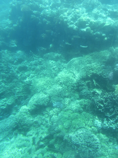 b0309813_1275220.jpg