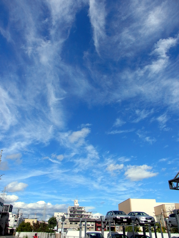 e0083517_4582826.jpg