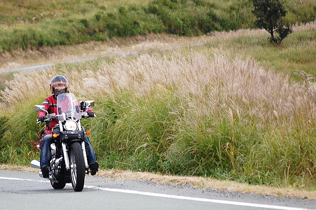 f0248120_2013315.jpg