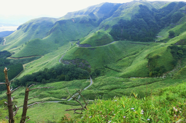 f0248120_20231730.jpg