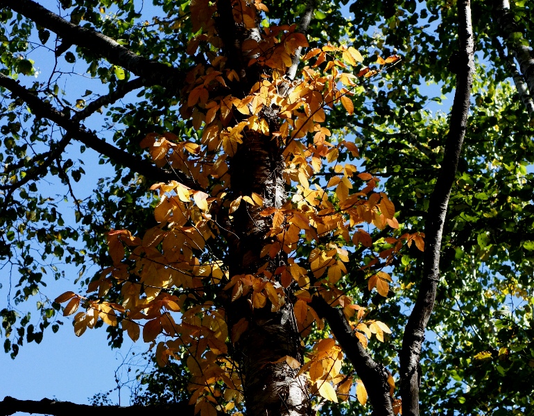 a0304423_0104682.jpg