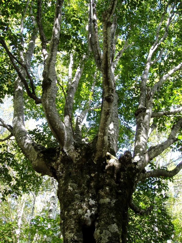 a0304423_062190.jpg