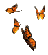 f0047824_20243381.gif