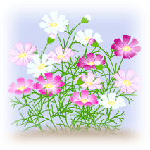 f0047824_22334321.gif