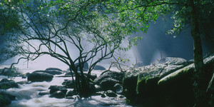 d0159325_19213725.jpg
