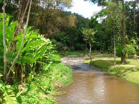 d0159325_19264061.jpg