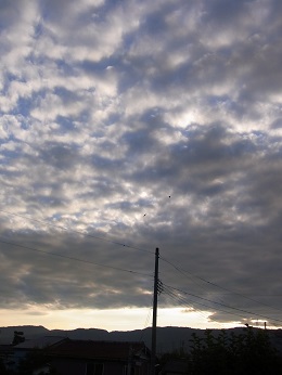 a0070831_7592840.jpg