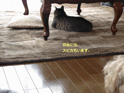 c0136736_10241387.gif