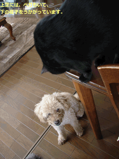 c0136736_102416.gif