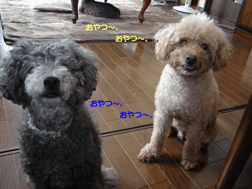 c0136736_10245164.gif