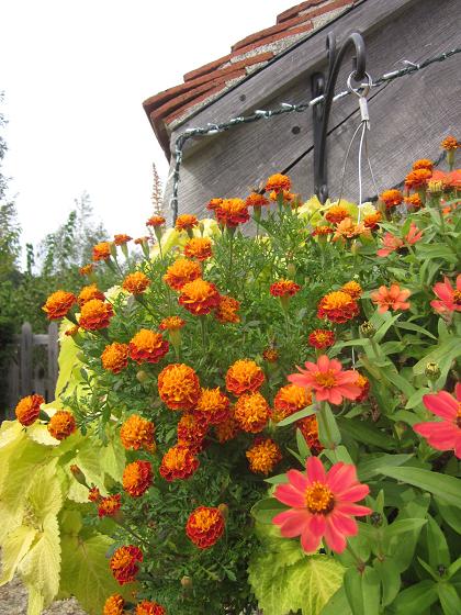c0234938_12165732.jpg