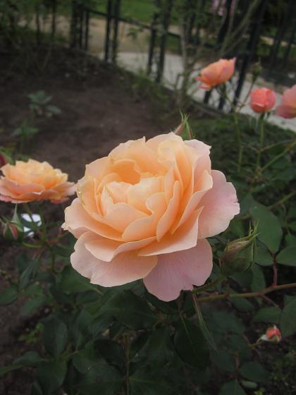 c0234938_1362645.jpg
