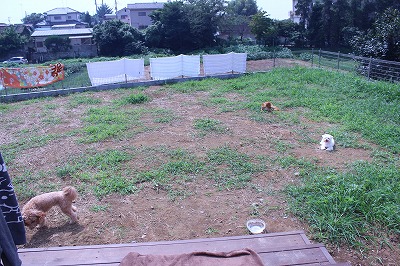 d0249240_18181.jpg