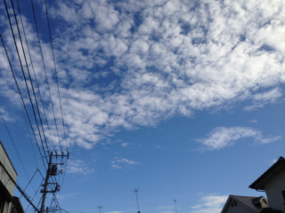 f0179947_22582896.jpg